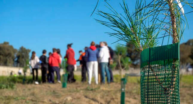 Campaña de  Reforestación