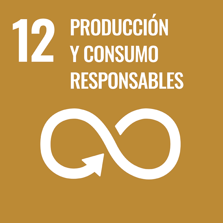 12. Producción y consumo responsables