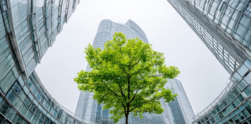 Acerinox se sitúa a la vanguardia de la industria global con la obtención de la certificación ISO 20400 de Compras Sostenibles